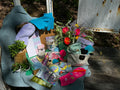 The Rose Bouquet